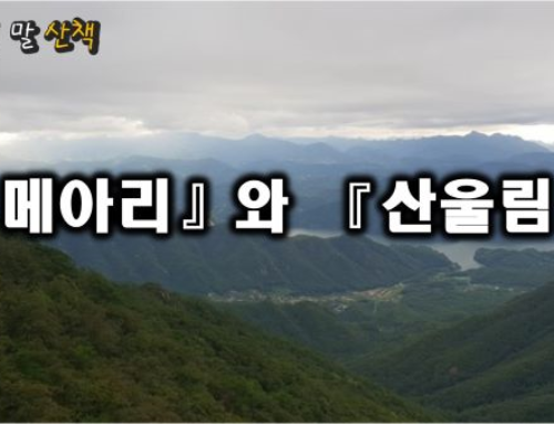 『메아리』와 『산울림』